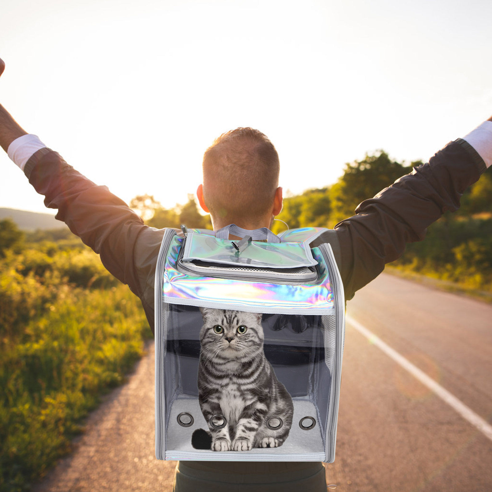 Breathable Mesh Pet Backpack C - Foldable Backpack Small のレビューと価格